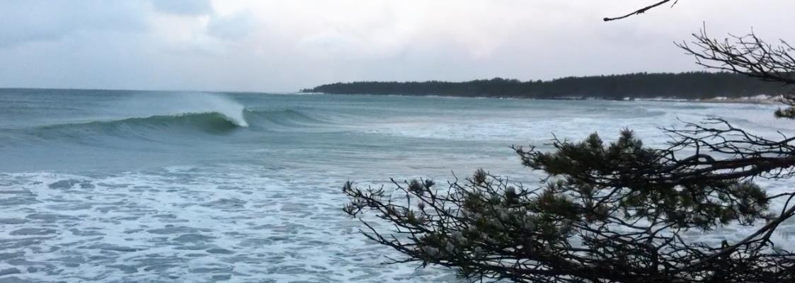 460023_377744952316981_1546688692_o