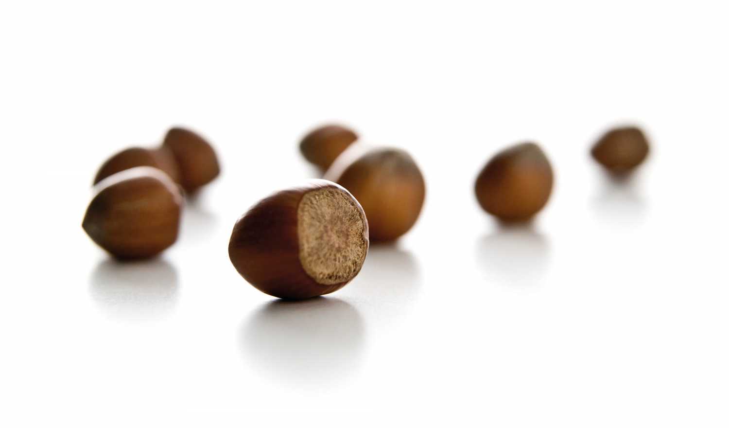 hasselnöt hazelnut nötter