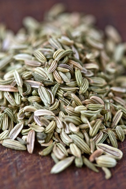 fänkålsfrö fennel spice seed krydda
